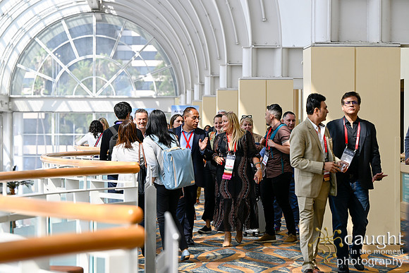 1426 APEX IFSA GlobalExpo