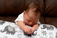010 Dax 2018