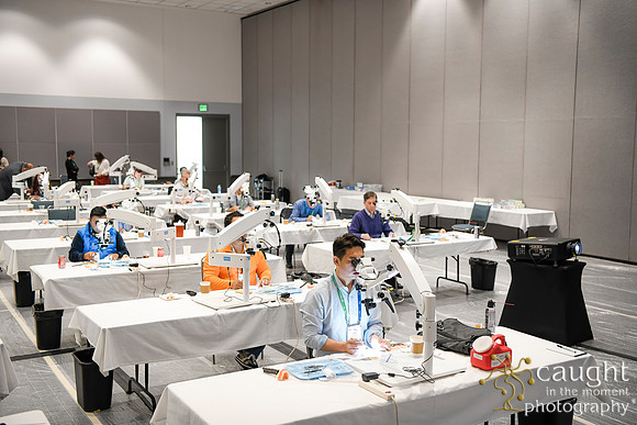 601 AAE 2024 in Los Angeles - Hand-On Sessions