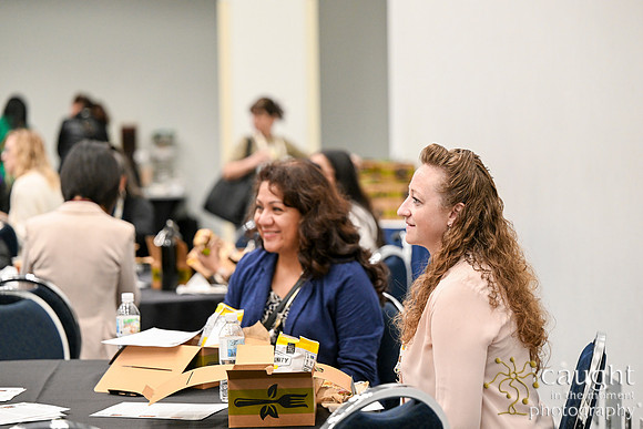 1230 IEEE PES TandD Anaheim 2024