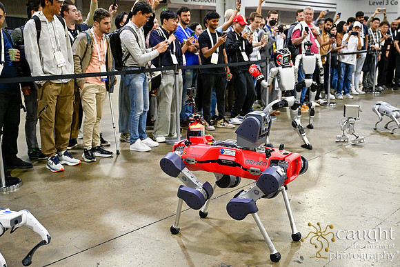 1419 IEEE ICRA 2025 Atlanta