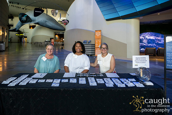 001SchoolforFieldStudiesatLongBeachAquarium