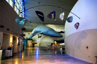 005SchoolforFieldStudiesatLongBeachAquarium
