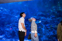 031SchoolforFieldStudiesatLongBeachAquarium