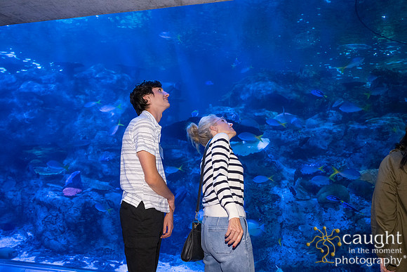 031SchoolforFieldStudiesatLongBeachAquarium