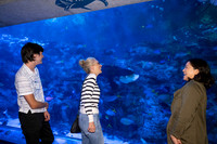 032SchoolforFieldStudiesatLongBeachAquarium