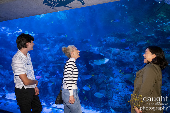 032SchoolforFieldStudiesatLongBeachAquarium