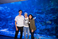 033SchoolforFieldStudiesatLongBeachAquarium