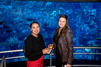 037SchoolforFieldStudiesatLongBeachAquarium