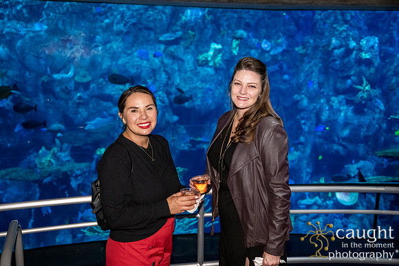 037SchoolforFieldStudiesatLongBeachAquarium