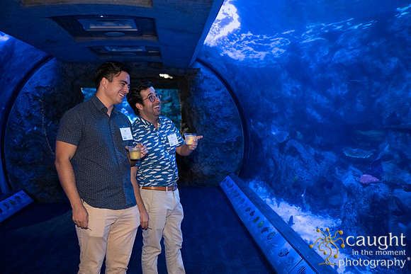 041SchoolforFieldStudiesatLongBeachAquarium