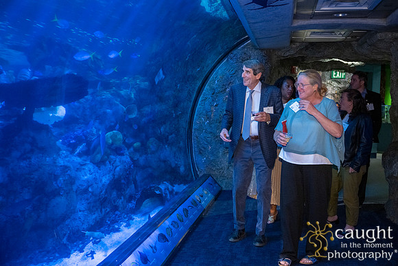 049SchoolforFieldStudiesatLongBeachAquarium