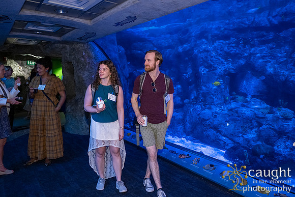 048SchoolforFieldStudiesatLongBeachAquarium