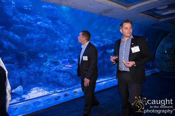 051SchoolforFieldStudiesatLongBeachAquarium