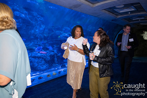 050SchoolforFieldStudiesatLongBeachAquarium