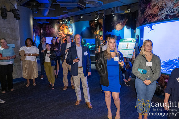 095SchoolforFieldStudiesatLongBeachAquarium