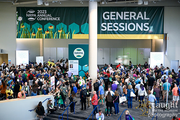 015 NRPA Dallas 2023 Highlights