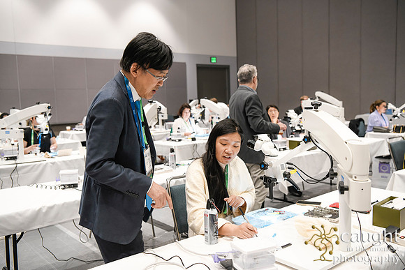 587 AAE 2024 in Los Angeles - Hand-On Sessions