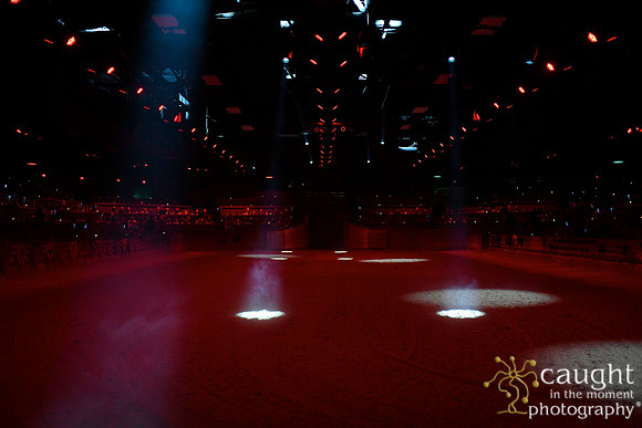 003 Medieval Times Live Performance