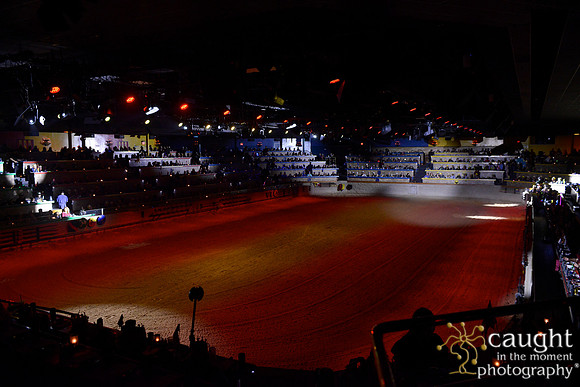 005 Medieval Times Live Performance