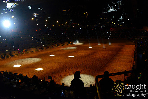 006 Medieval Times Live Performance