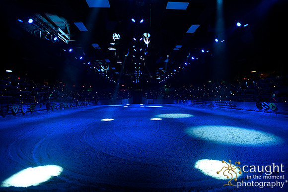 010 Medieval Times Live Performance