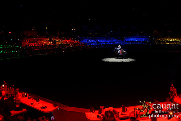 013 Medieval Times Live Performance