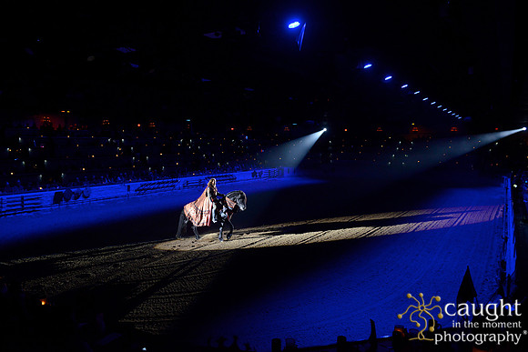 014 Medieval Times Live Performance
