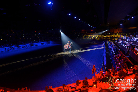 015 Medieval Times Live Performance