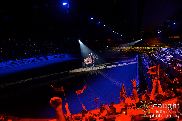 016 Medieval Times Live Performance