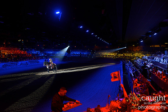 019 Medieval Times Live Performance