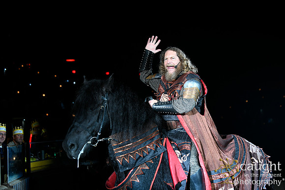 021 Medieval Times Live Performance