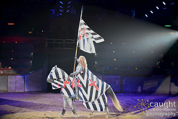 025 Medieval Times Live Performance