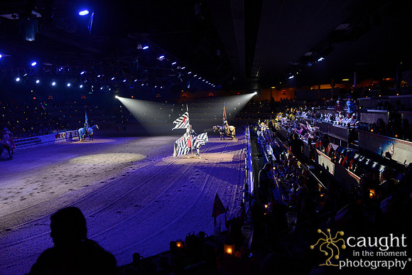 027 Medieval Times Live Performance