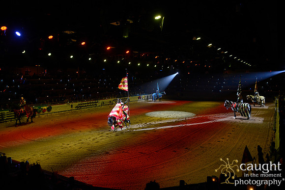 029 Medieval Times Live Performance