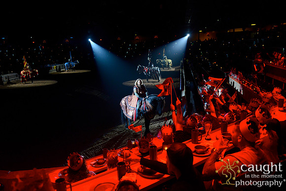 032 Medieval Times Live Performance