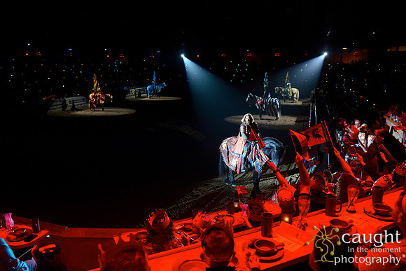 033 Medieval Times Live Performance