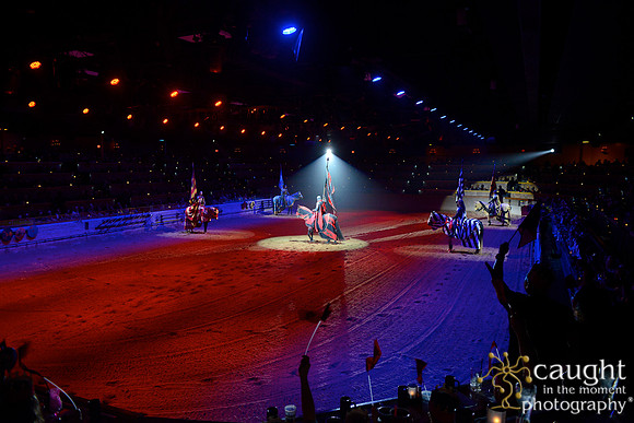036 Medieval Times Live Performance