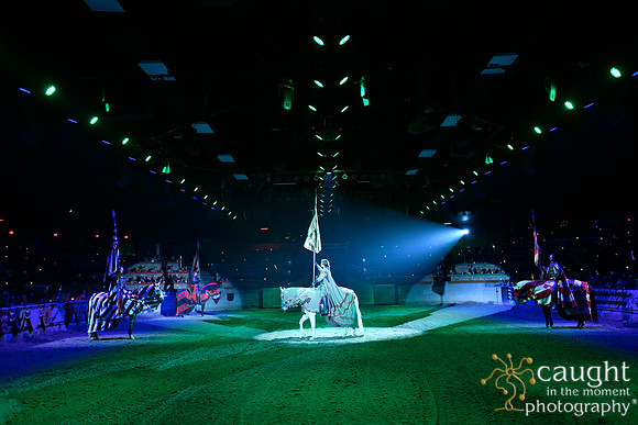 039 Medieval Times Live Performance