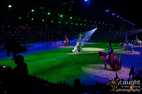 040 Medieval Times Live Performance