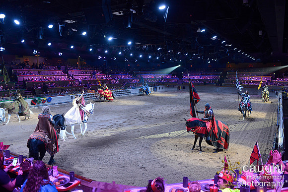 042 Medieval Times Live Performance