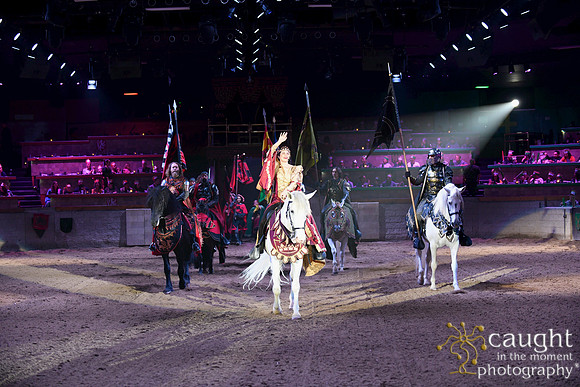 043 Medieval Times Live Performance
