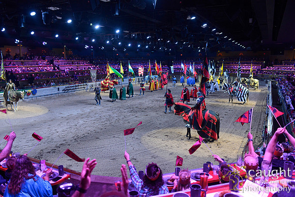 045 Medieval Times Live Performance
