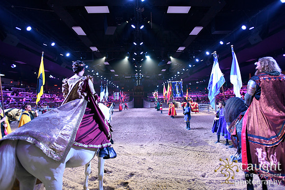 046 Medieval Times Live Performance