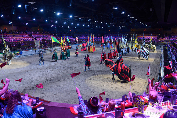 047 Medieval Times Live Performance
