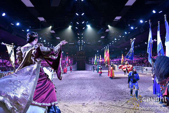048 Medieval Times Live Performance