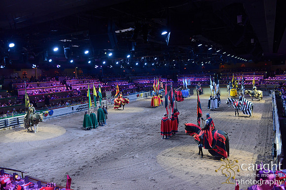 049 Medieval Times Live Performance