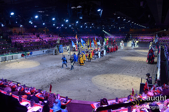 050 Medieval Times Live Performance