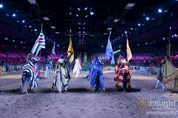 051 Medieval Times Live Performance