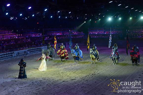 054 Medieval Times Live Performance